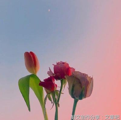 始终相信着，逆袭的力量句子大全