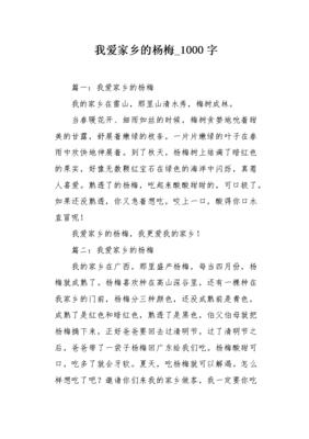 杨梅作文300字