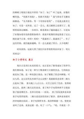 知了作文