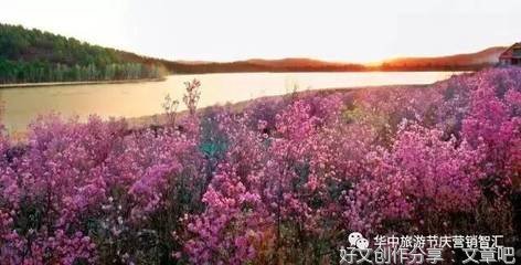 关于内蒙古草原的风俗作文