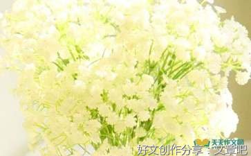 关于满天星的作文400字(精选10篇)