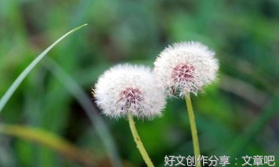 端午节的习俗和来历的作文10篇