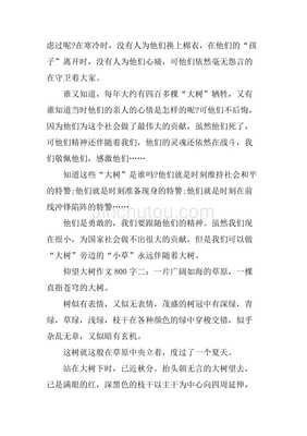 仰望作文(精选10篇)