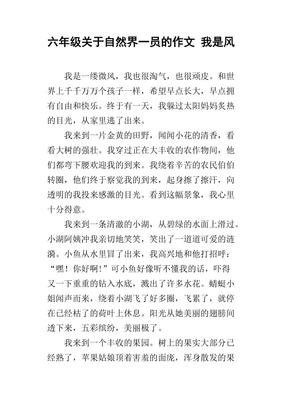 假如我是一阵风经典作文
