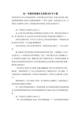 夏日荷塘作文500字