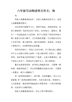 关于动物的2000字说明作文