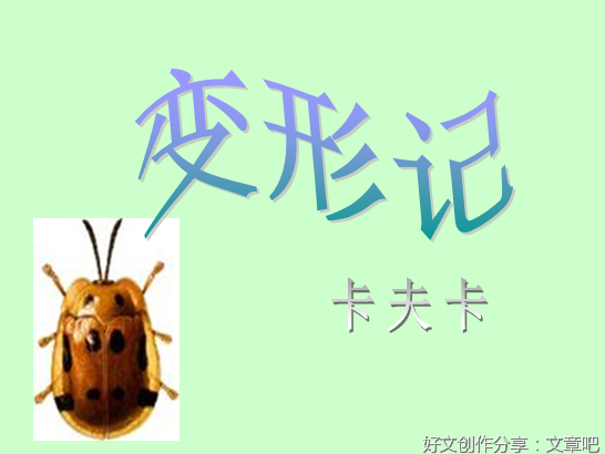 关于朋友卡夫卡作文800字