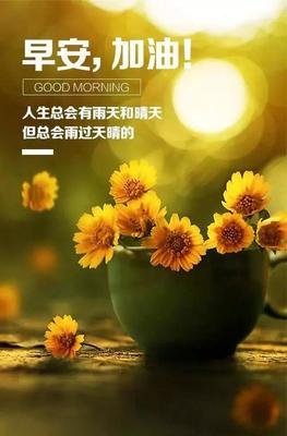 《哲理》的句子