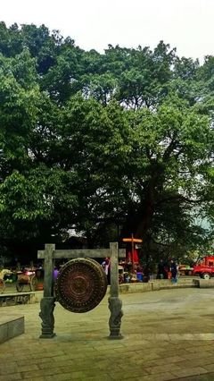 有关暑假实践活动的作文