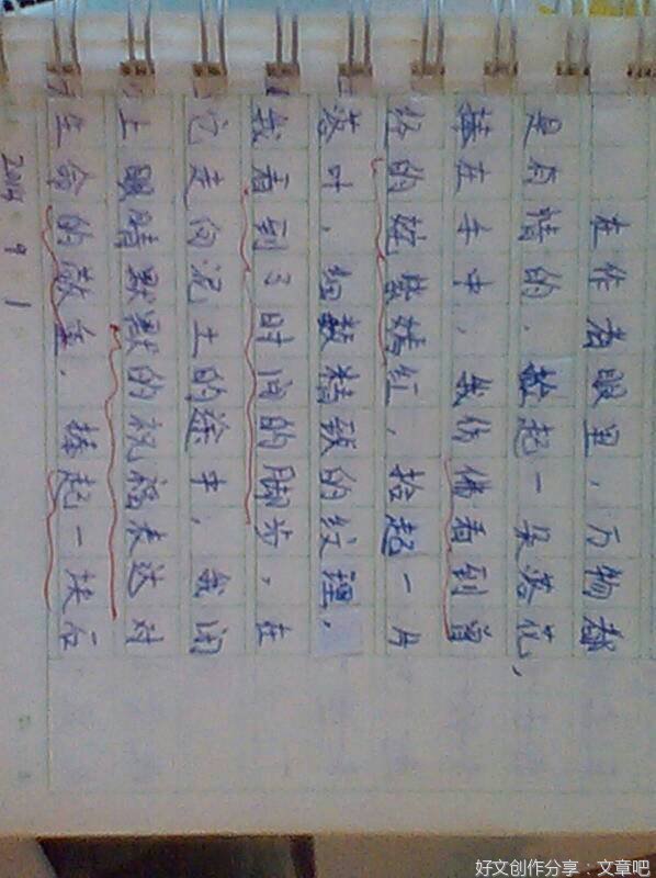 校园访友作文800字