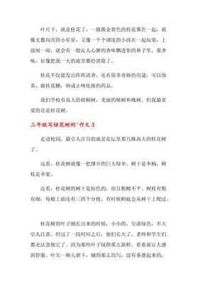 桂花开了通用作文