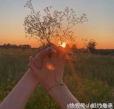 我爱你经典的句子