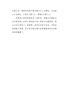 关于淘气的小狗的作文
