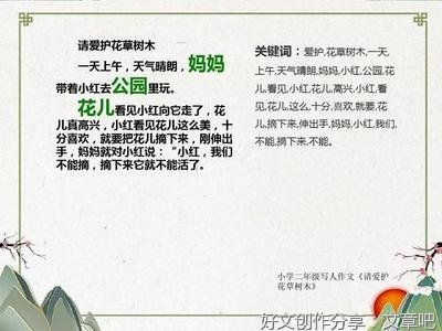 爱护树木经典作文