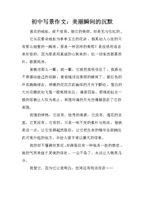 美丽的瞬间作文300字