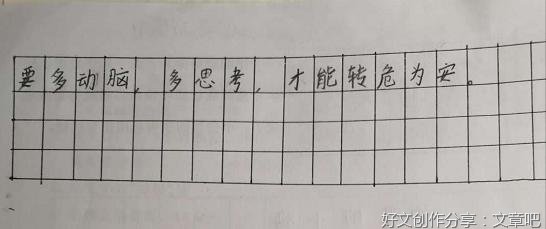聪明的小鸡通用作文
