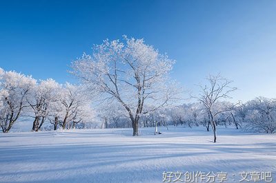 读《呼兰河传》有感
