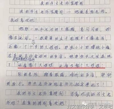 妈妈爱是鱼头400字作文