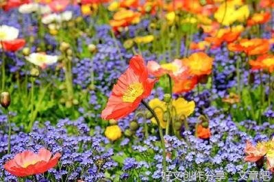 红尘三千丈优美的句子