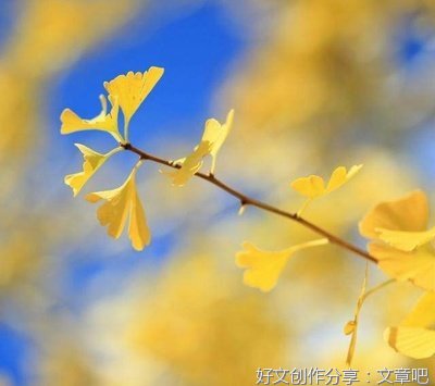 关于悲的优美句子