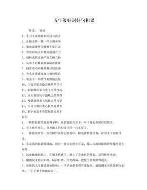 木子一叶好词好句