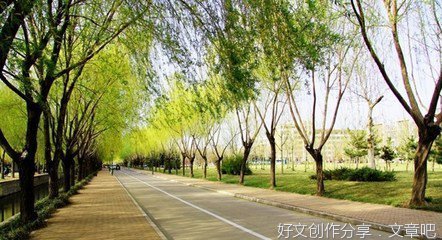 迷人的校园作文