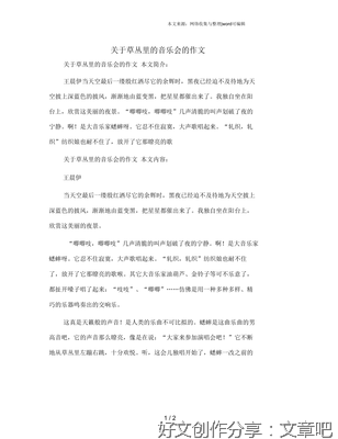 音乐会作文500字