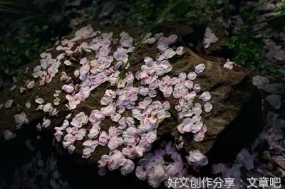 有关为自己鼓劲的作文