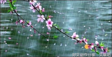 描写春天的雨作文300字600字