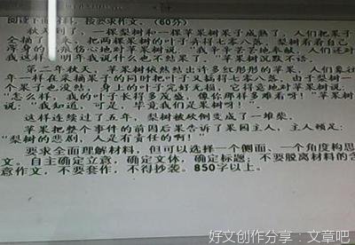 以自由为话题写800作文600字