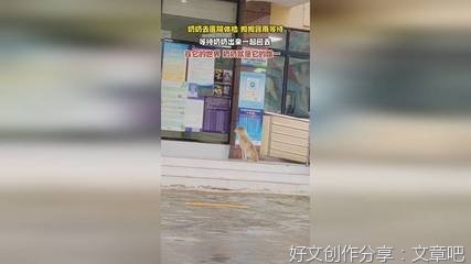 我和奶奶一起做家务400字600字