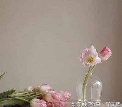 哲理的优美句子