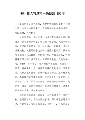 有关夏日的雨的作文
