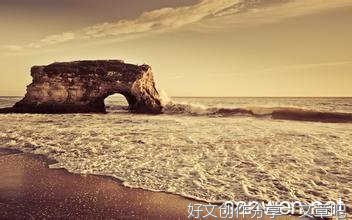 小鸟的自述作文800字