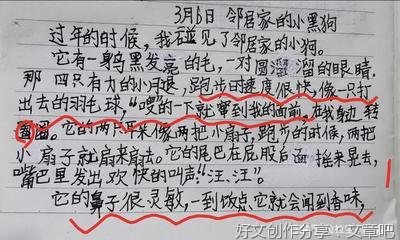 小黑狗经典作文