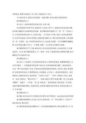 有关康乃馨的作文