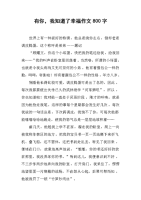 很多作文800字