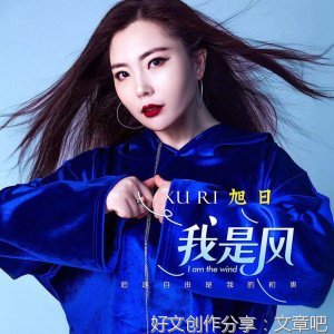我是风经典作文