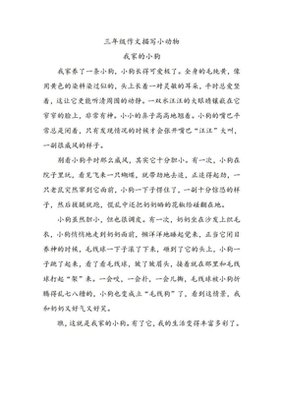 我最想养的小动物作文600字