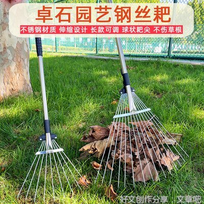 捡树叶作文600字