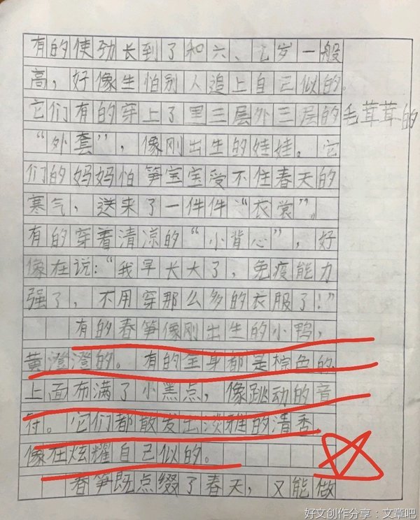 关于看桃花的作文350字