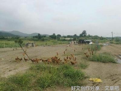 我的家乡陕西咸阳作文200