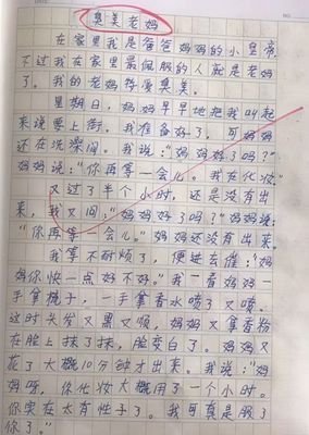 爱臭美的妈妈作文600字