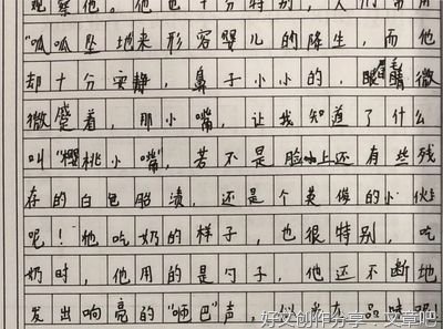 特别的一天作文