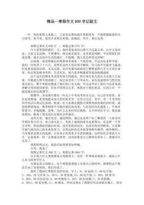 特别的寒假作文800字