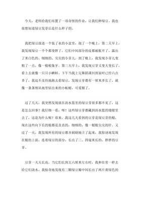 有关种绿豆的作文