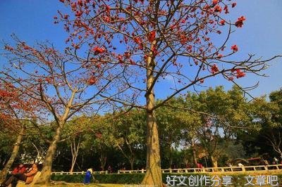 关于色彩的游戏的作文
