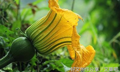我的精彩暑假生活作文(通用10篇)