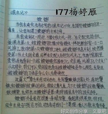 暑假生活感想作文10篇