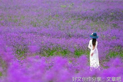 梅兰芳与20世纪国际舞台读后感锦集